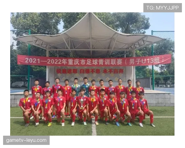 维罗纳青训系统成效显著，新星涌现引多方关注