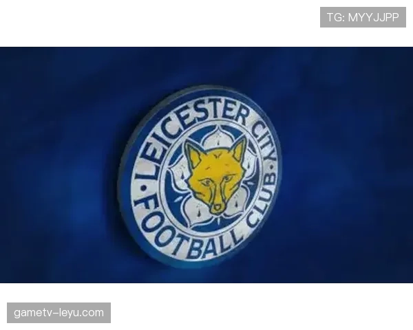 莱斯特城球迷抗议不断，球队未来走向引关注