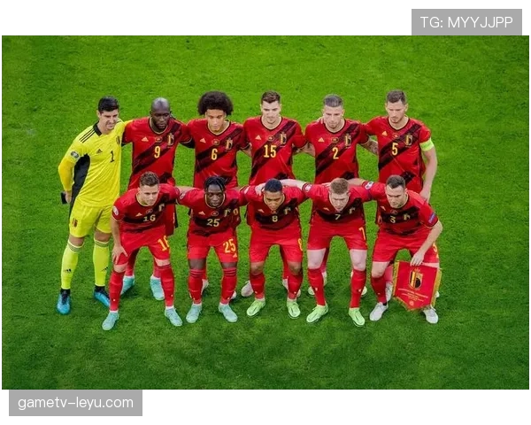 比利时国家队黄金一代 比利时国家队黄金一代